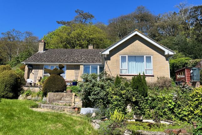 Thumbnail Bungalow for sale in Lower Catherston Road, Bridport