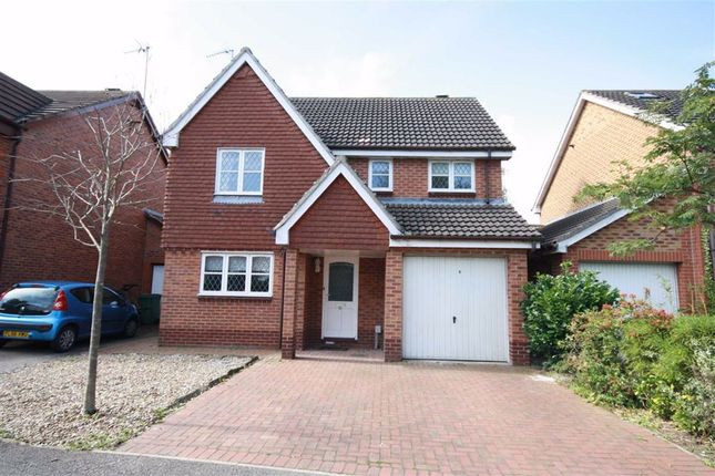 Thumbnail Detached house to rent in Ascott Close, Beverley