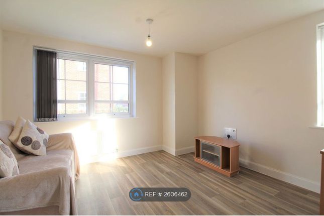 Lounge/ Kitchen/ Dining