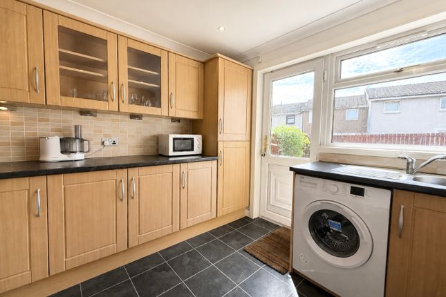 50, Glasgow photo 3
