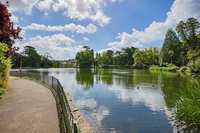 The Lodge, Brynmill Park, Swansea photo 4