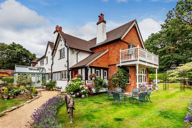 Detached house to rent in On The Cricket Green, Blackheath, Guildford, Surrey