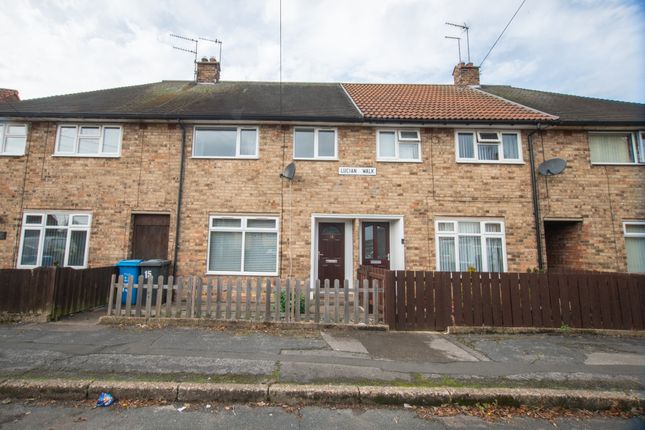 Thumbnail Terraced house to rent in Lucian Walk, Hull