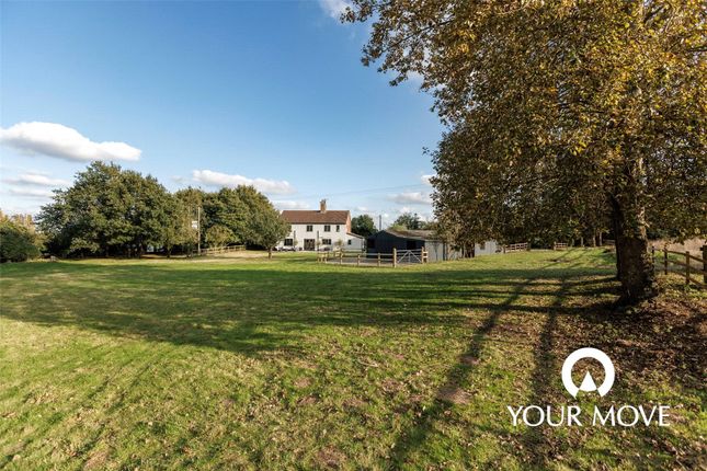 Outside &amp; Gardens