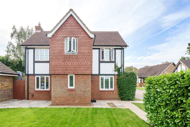 Thumbnail Detached house for sale in Magdalen Grove, Orpington