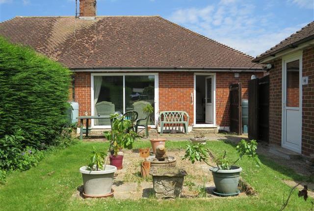 Thumbnail Bungalow to rent in Cootes Avenue, Horsham