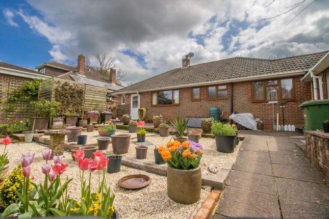 Thumbnail Semi-detached bungalow to rent in Petersfield Road, Ropley, Alresford