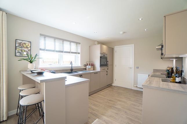 The Douglas, Plot 83, Wymet Grove, Millerhill photo 4