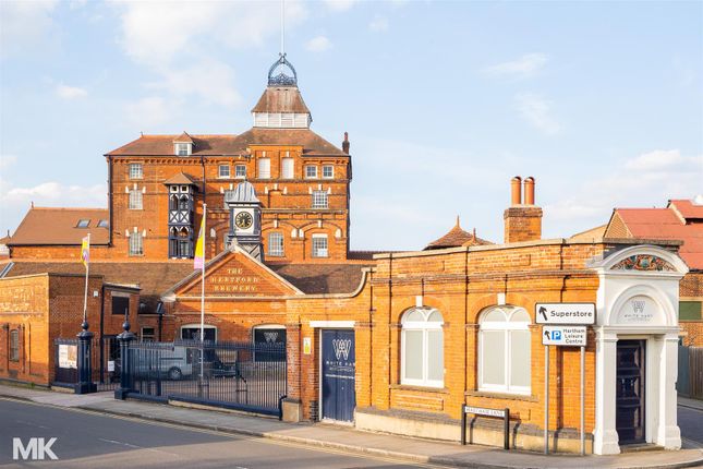 Hertford_-68.Jpg