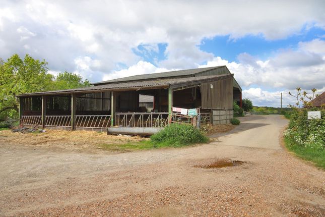 Farm for sale in Buckholt Farm, Watermill Lane, Catsfield, Bexhill-On-Sea