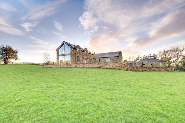 Thumbnail Detached house for sale in Shothaugh High Cottage, Morpeth, Northumberland