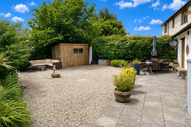 Owl Cottage Ashwater, Beaworthy Devon, Devon photo 3