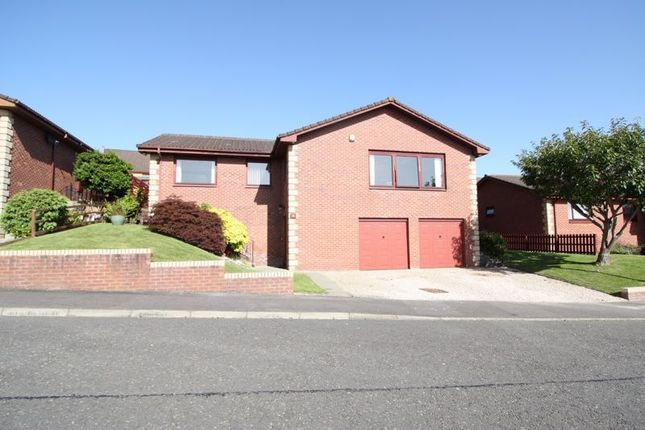 Thumbnail Detached house for sale in Swinburne Drive, Sauchie, Alloa