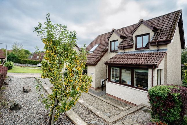 Thumbnail Detached house for sale in Firthview, Dingwall, Highland