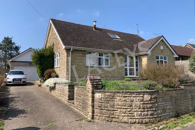 Thumbnail Bungalow to rent in Summerlands, Yeovil
