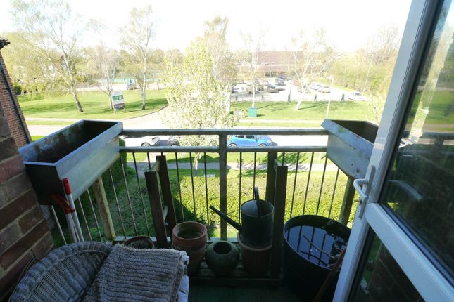 53, Longmead, Hatfield photo 3