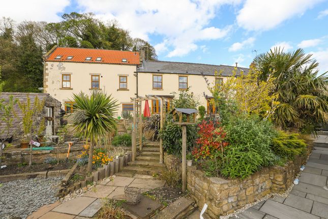 Thumbnail Cottage for sale in Hillside, North Anston