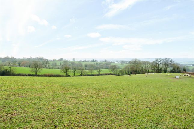 Land for sale in Hawkchurch, Axminster