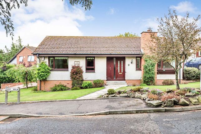 Thumbnail Bungalow to rent in River Walk, Dalgety Bay, Dunfermline, Fife