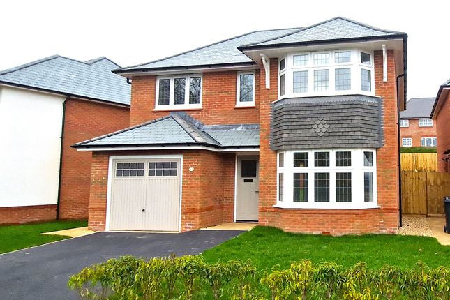 Thumbnail Detached house to rent in Blackmore Drive, Exeter