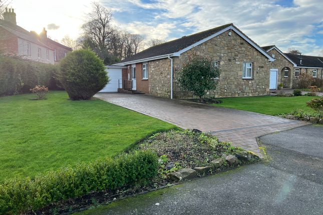 Thumbnail Detached bungalow to rent in Hillcrest Park, Alnwick, Northumberland