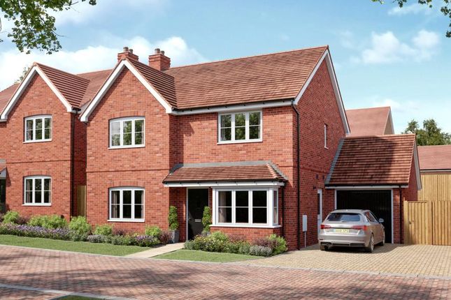 Dandara - Zoopla -