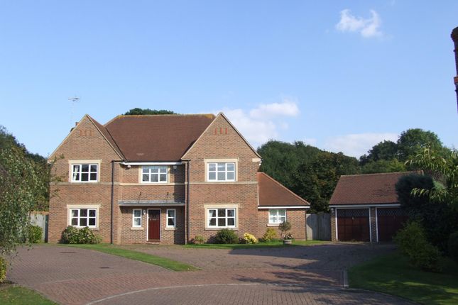 Thumbnail Detached house to rent in Heathside Place, Epsom