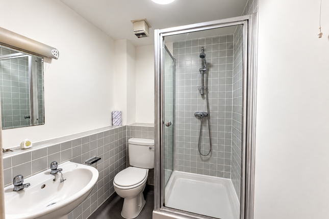 4, Orpington photo 4