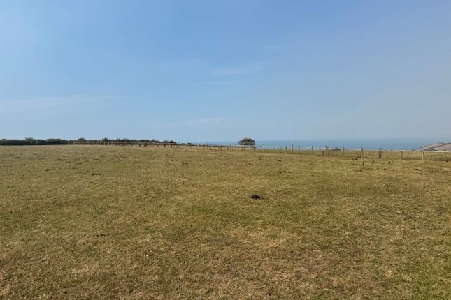 Ael Y Bryn, Rhiwgoch, Aberaeron photo 5