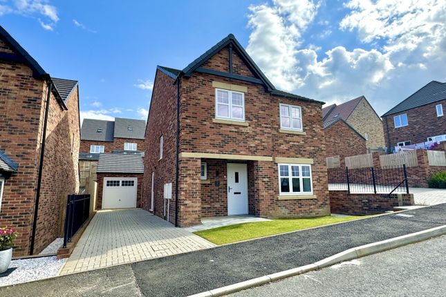 Thumbnail Detached house for sale in Meadowsweet Lane, The Meadows, Sunderland, Tyne And Wear