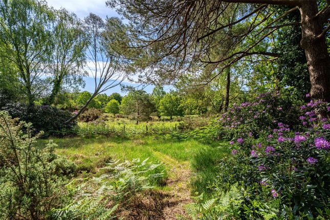 Heathermede,, Sandy Down, Lymington photo 4