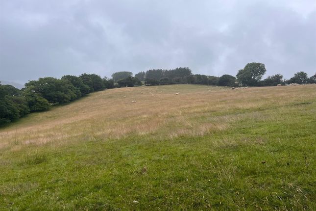Land at Felindre Uchaf, Lampeter photo 4