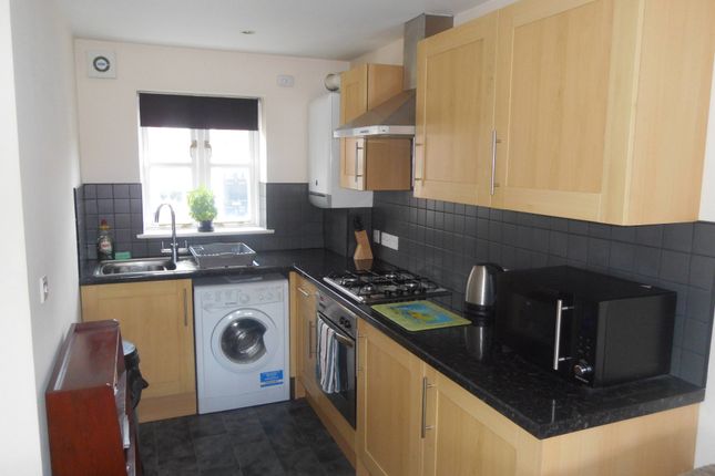Sivell Place, Exeter photo 3