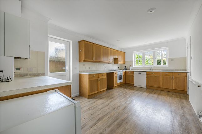 18, Ivydene, Woking photo 4