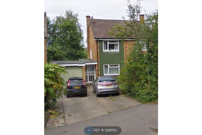 Thumbnail Detached house to rent in Whiteknights Road, Reading