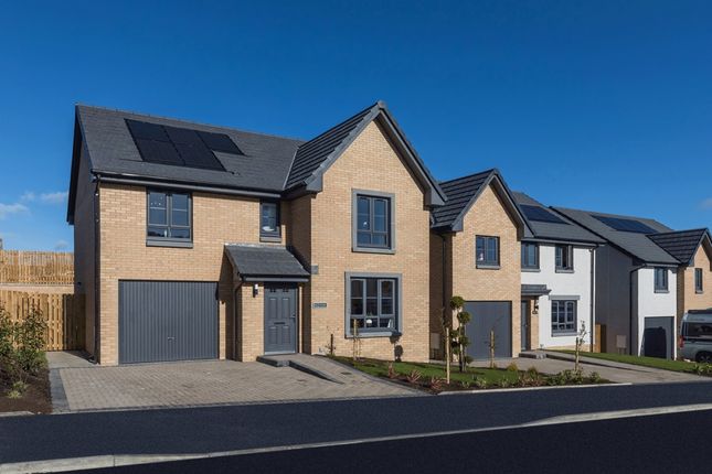 Thumbnail Detached house for sale in "Dunbar" at Countesswells Park Road, Countesswells, Aberdeen
