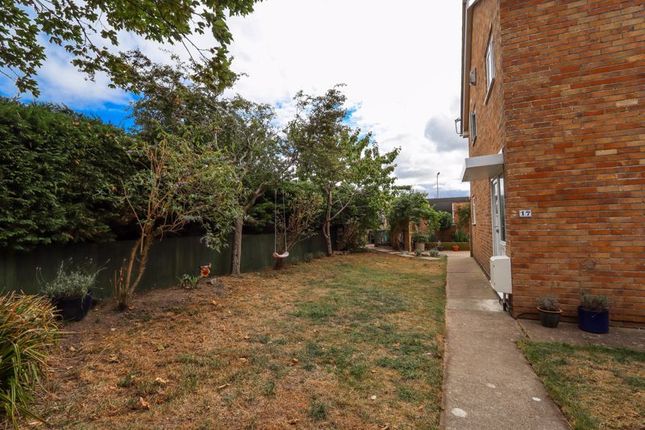 Side Garden