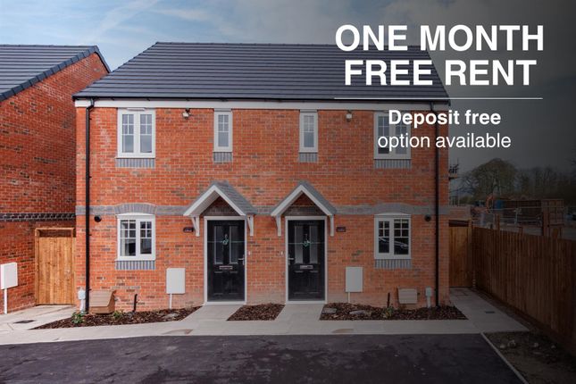 Alnmouth - 1Mfr &amp; Deposit Free.Jpg