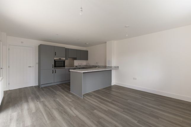 5 elina road - Yarrow RL flatfair, Leaf Living at Chesterwell, Colchester, CO4, Mile End photo 3
