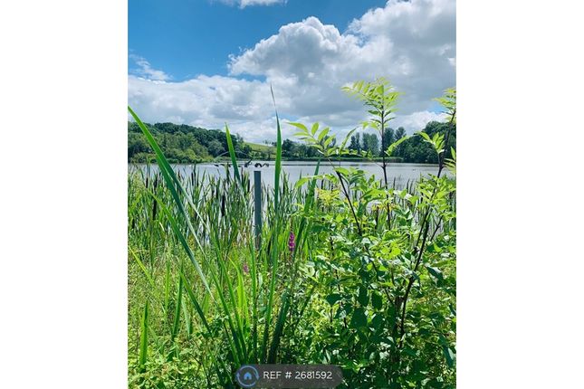 Beauty Is Close By On The Lake Road