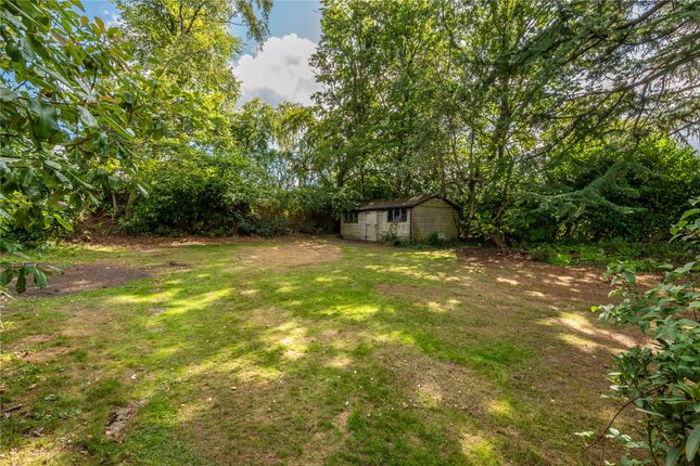 Warren Cottage,, Boxhill Road, Surrey photo 4
