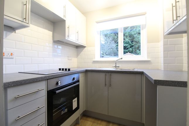 36, Langdale Drive, Colchester photo 4
