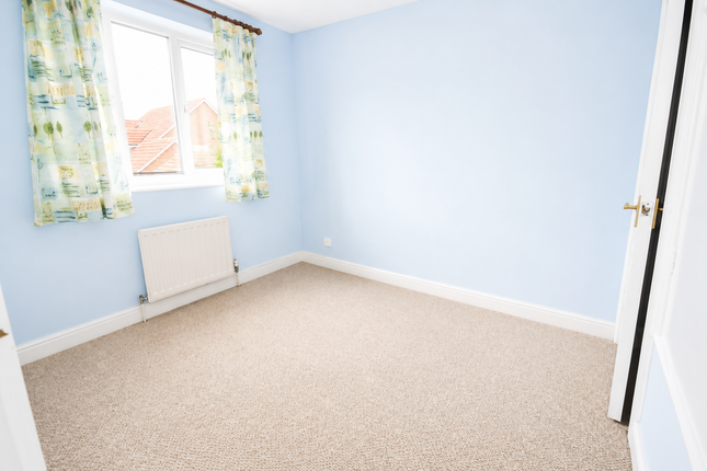 1, Middlesbrough photo 4