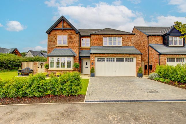Thumbnail Detached house for sale in Autumn Grove, Woodland Manor, Wynyard