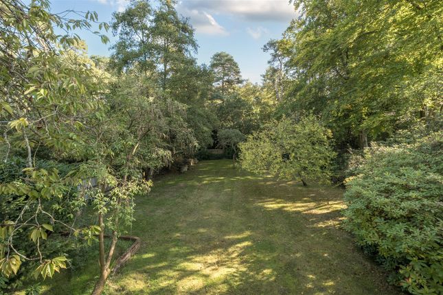 78, Wokingham Road, Crowthorne photo 3