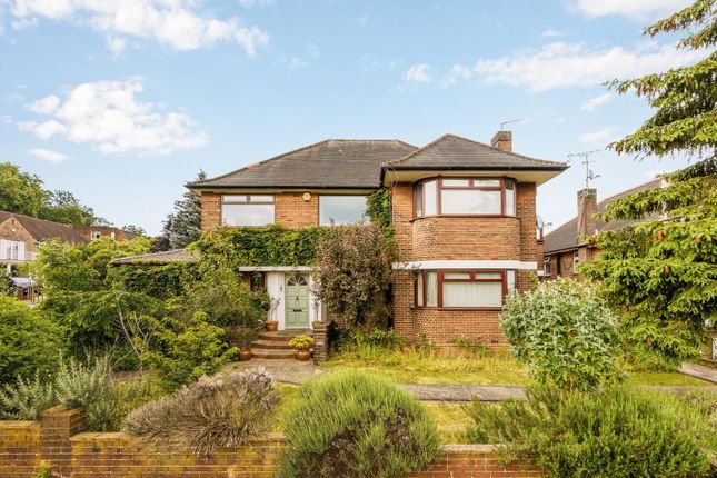 5 Dallas Road-1.Jpg
