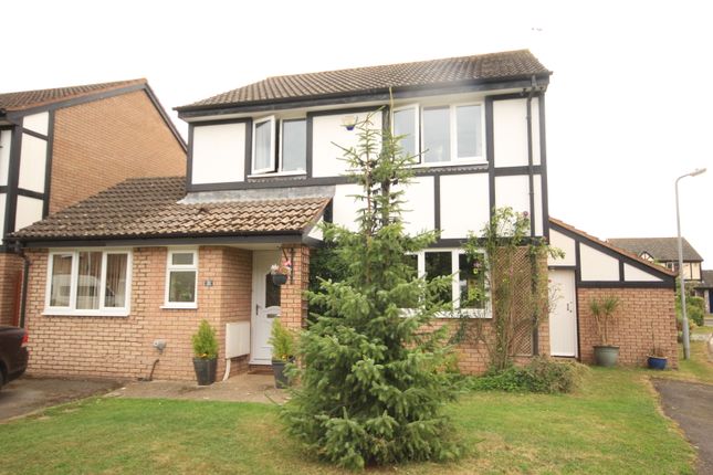 Thumbnail Detached house for sale in Reed Close, Bridgwater