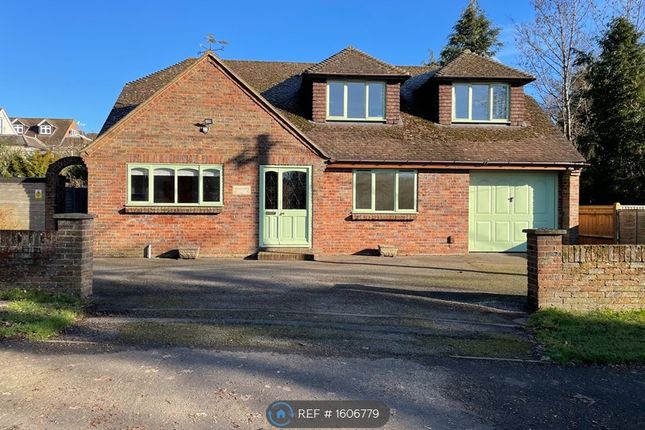 Thumbnail Detached house to rent in Seymour Court Road, Marlow