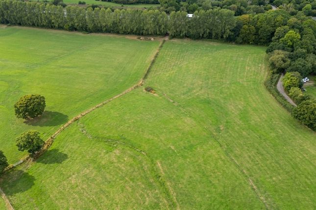 Cullompton, Devon photo 4