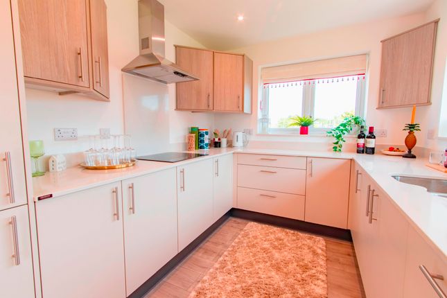 Plot 1 (The Mowbray), Lavender Mill, Manea photo 3